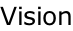 Vision